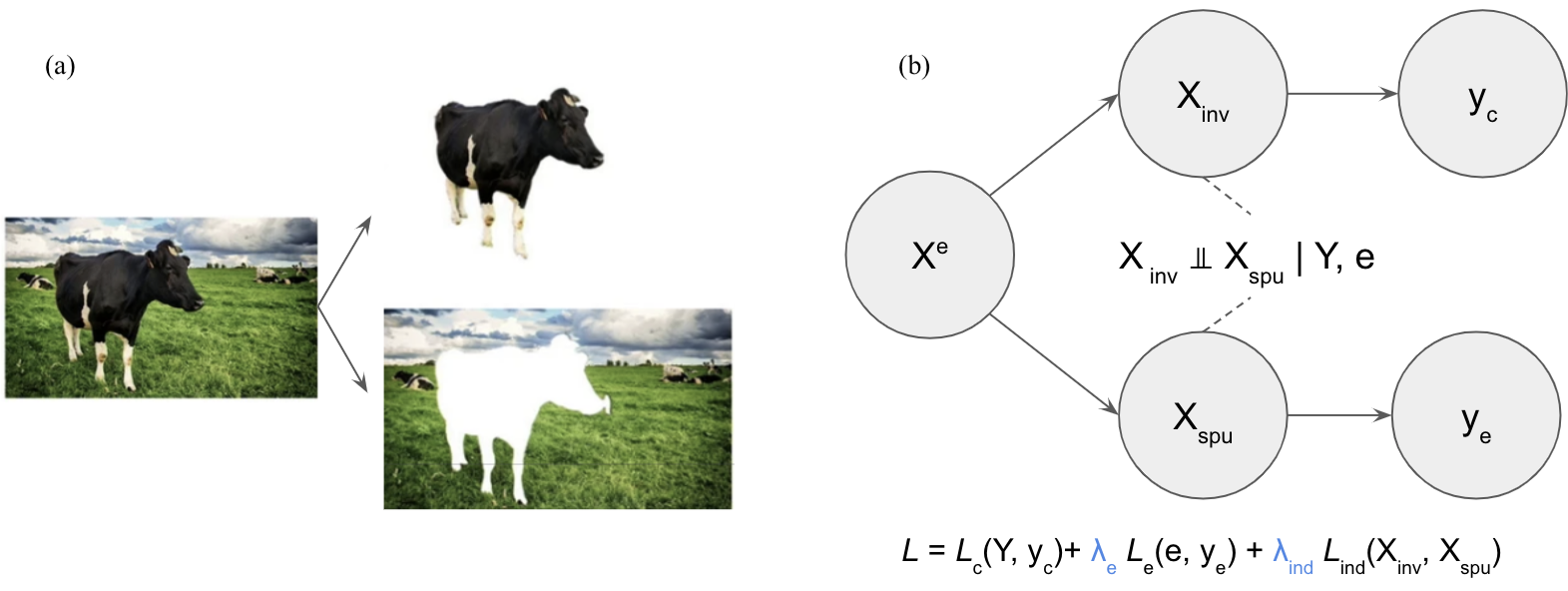Fig 8. Illustration for Representation Disentanglement. (a) An image of a cow standing on a grassland can be decomposed into a cow and the background of the class land. For image recognition of a cow, the pixels of the cow are the causal factor with an invariant relationship with the concept label of a cow, while the background is with spurious correlation with the label of a cow. (b) Illustration for how causality-inspired representation disentanglement may look like. Raw inputs $X^e$ are encoded into $X_{\text{inv}}$ and $X_{\text{spu}}$, which are invariant across domains/environments (denoted as $e$) and spuriously correlated to environments, respectively. $X_{\text{inv}}$ and $X_{\text{spu}}$ should be independent from each other conditionally on the original class label $Y$ and environment $e$. Later, $X_{\text{inv}}$ and $X_{\text{spu}}$ are decoded to $y_c$ and $y_e$ for predicting the original class of interest and domain/environment label, respectively. This results in three loss terms, covering prediction errors for $Y$ and $e$ and conditional independence requirements. Source image is from a talk given by Koyejo in 2023ICML.