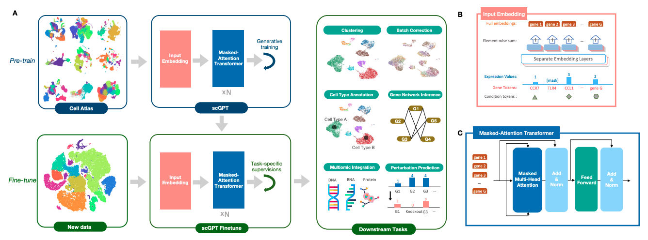 Fig 14. Overview of scGPT.